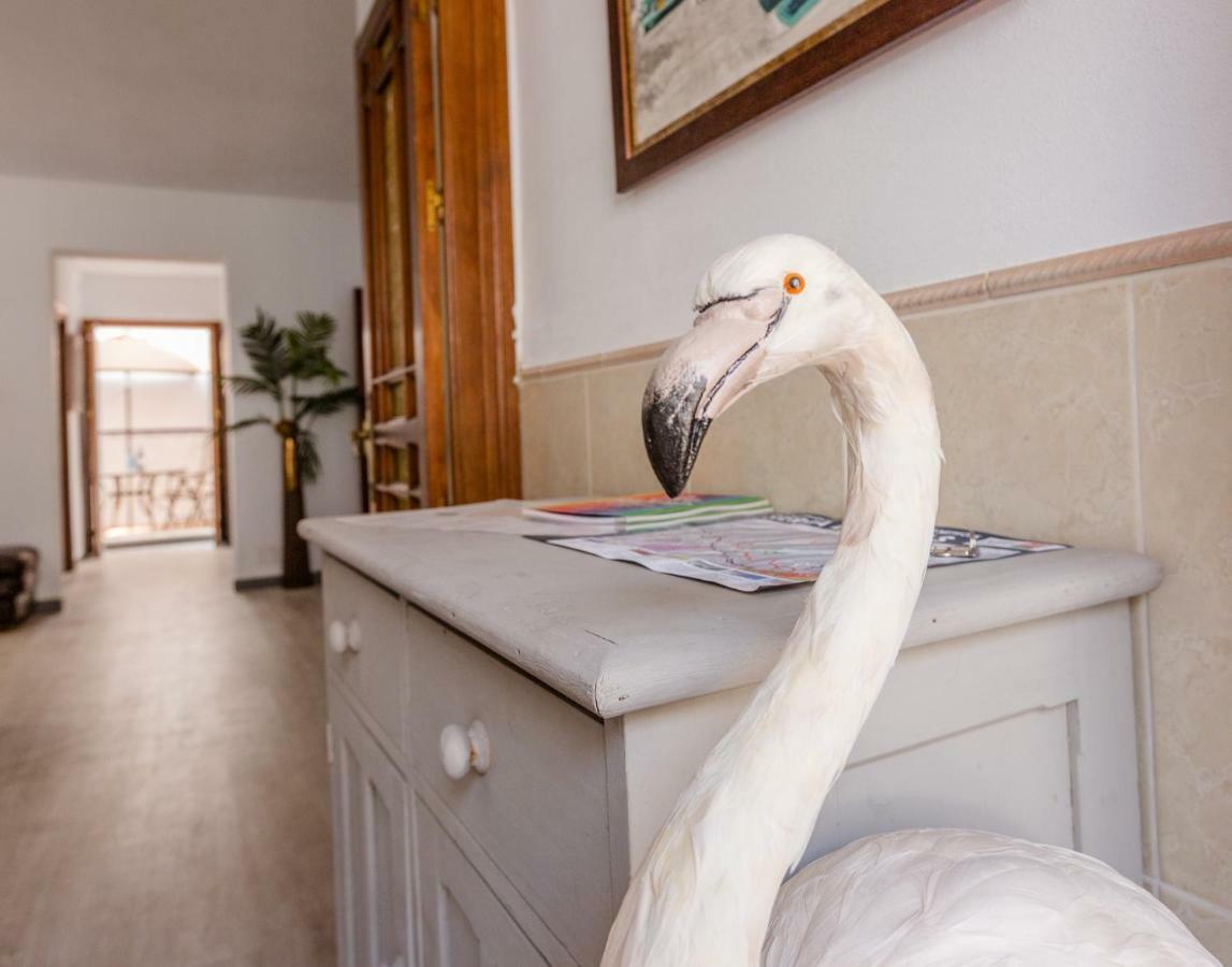 Alhaurin Old Town, Casa Flamingo, 2 Bed Apartment Alhaurín el Grande Exteriér fotografie